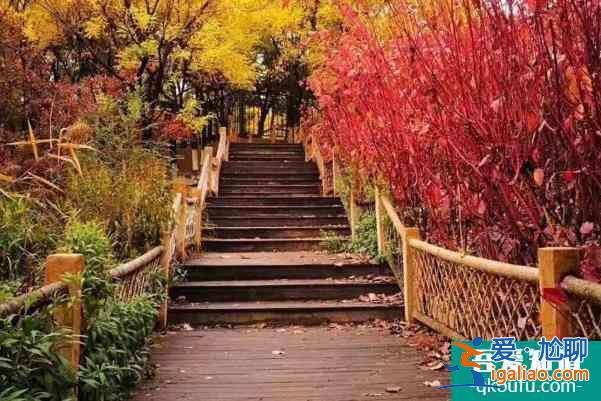 2022為保障冬奧會順利舉辦北京奧林匹克森林公園分時閉園？