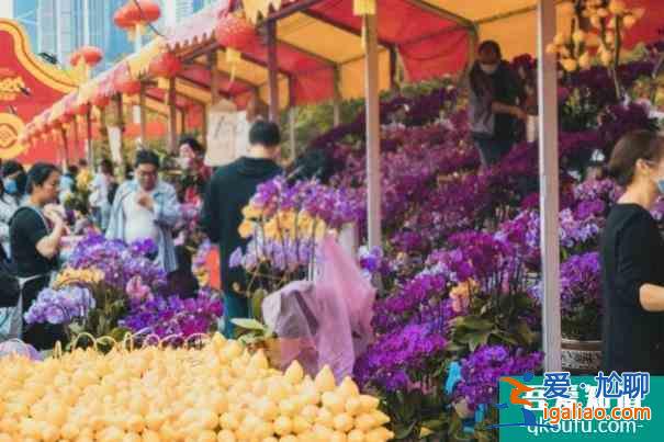 2022廣州越秀西湖花市開放時間 在哪里舉辦？