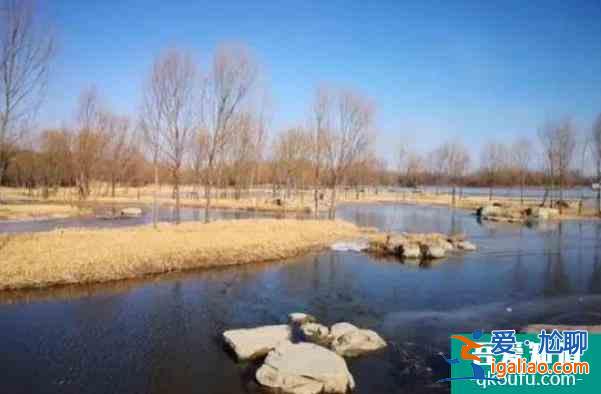 2022為保障冬奧會順利舉辦北京奧林匹克森林公園分時閉園？