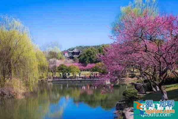 2022杭州超山門票多少錢 有什么好玩的？