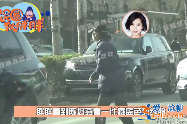 陳好為什么不演戲了 近況曝光現(xiàn)身醫(yī)院開藥 女兒陪同情況嚴重引擔憂