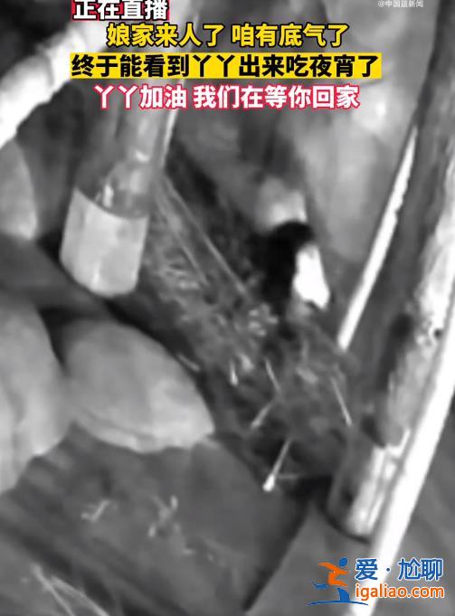 娘家來人了 咱有底氣了??？