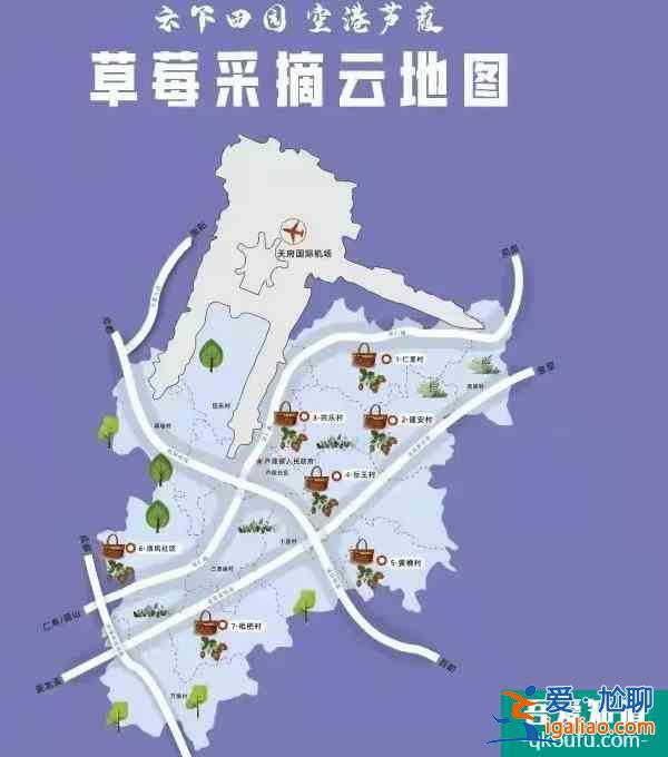 成都冬天哪里可以摘草莓 草莓采摘攻略？