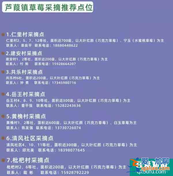成都冬天哪里可以摘草莓 草莓采摘攻略？