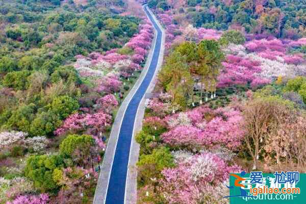 2022超山風(fēng)景名勝區(qū)門票多少錢 附優(yōu)惠政策？