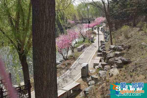 北京圓明園踏青節(jié)時間門票及交通介紹？