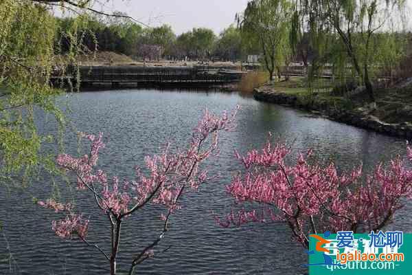 北京圓明園踏青節(jié)時間門票及交通介紹？