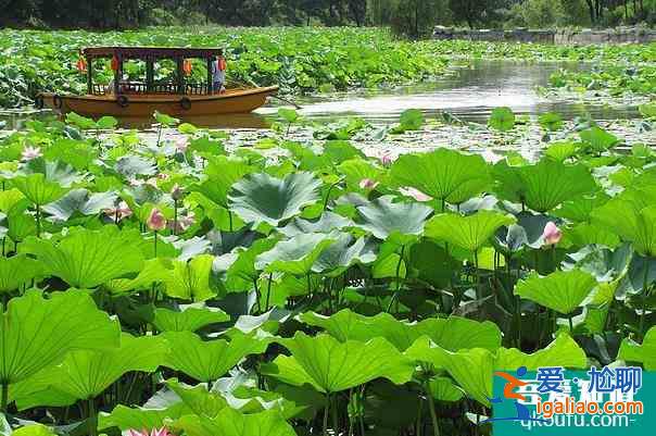 北京圓明園劃船價(jià)格及營(yíng)業(yè)時(shí)間介紹？