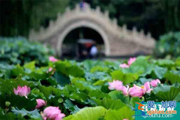 圓明園遺址公園年？