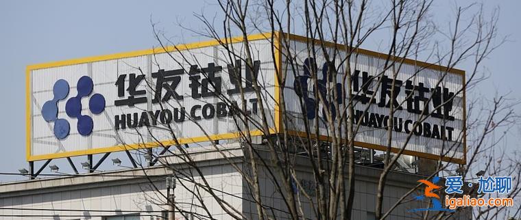 華友鈷業(yè)鋰電轉型項目公布最新進展？