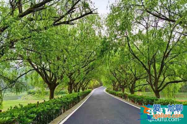 2022年3月起貴陽(yáng)長(zhǎng)坡嶺國(guó)家級(jí)森林公園門票免費(fèi)？