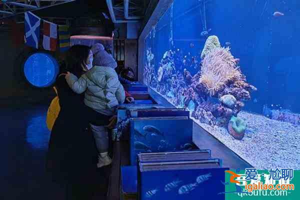 2022哈爾濱極地館門票多少錢一張 怎么去？