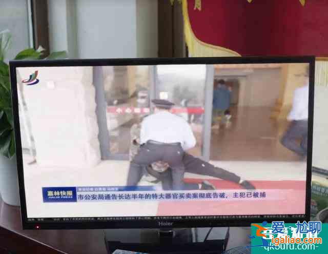 《我是余歡水》：余歡水結(jié)局并非完美，所有美好都是余歡水的幻想？
