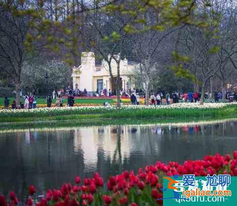 2022杭州西湖太子灣公園要門票嗎？