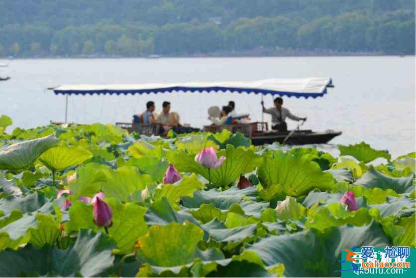 杭州西湖環(huán)湖有哪些方式？