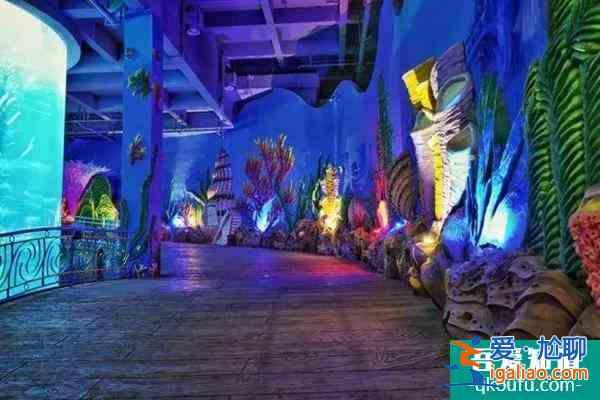 2022福州海洋館哪個(gè)最好玩 福州海洋館排行榜？