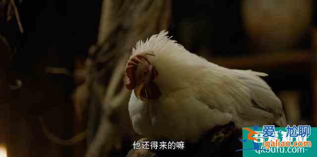 先別著急罵《河神2》，小心被他“真香打臉”？