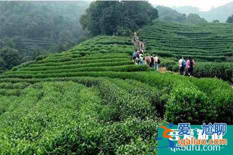 杭州西湖春天登山攻略(附路線)？