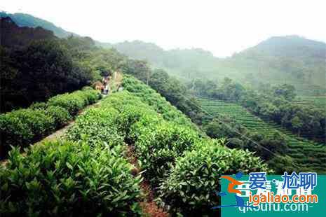 杭州西湖春天登山攻略(附路線)？