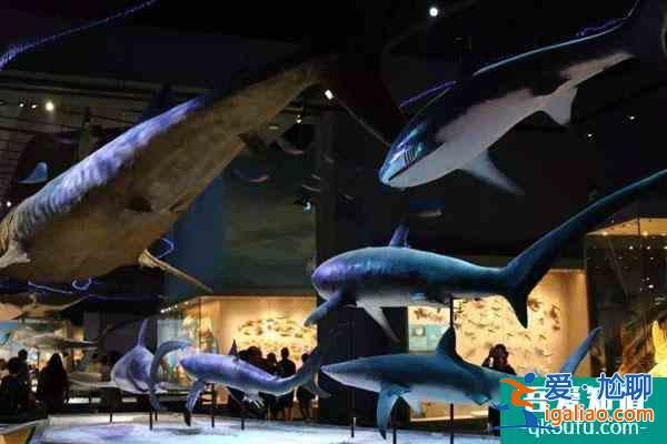 2022受疫情影響天津國家海洋博物館臨時閉館公告？