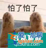 貢米米熱主演，炸毛醫(yī)女遇上腹黑帝王，反套路的古言劇居然這么甜？