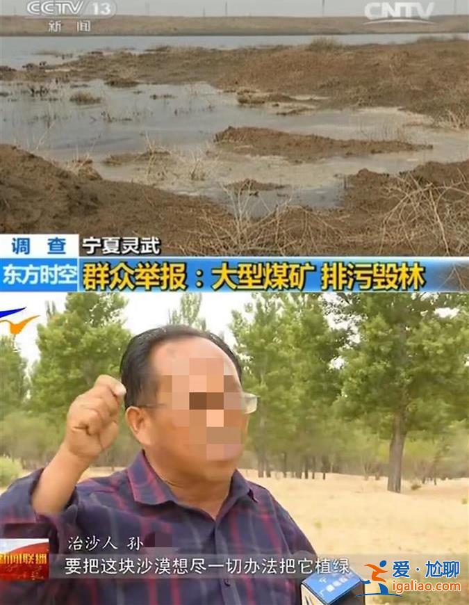 寧夏萬畝樹木被煤礦“斷水”面臨枯死 六旬林場主崩潰跪地 鎮(zhèn)政府回應(yīng)？