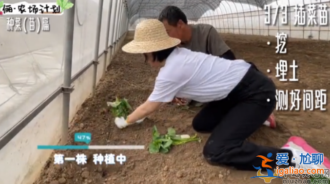 孫儷近況曝光!承包大棚翻土播種 網(wǎng)友留言紛紛點(diǎn)贊