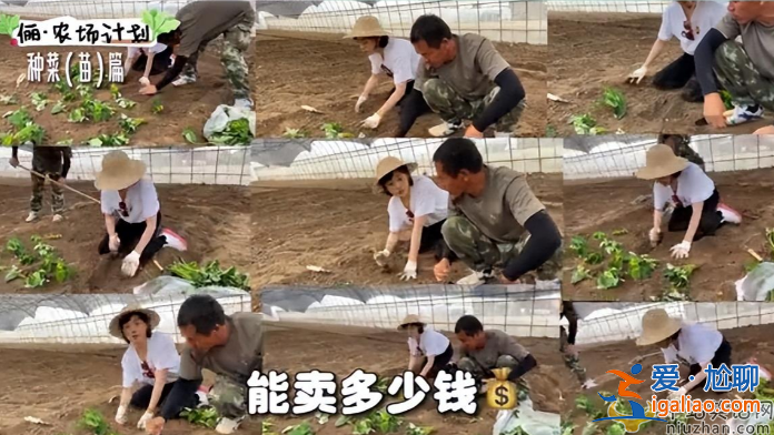 孫儷近況曝光!承包大棚翻土播種 網(wǎng)友留言紛紛點(diǎn)贊