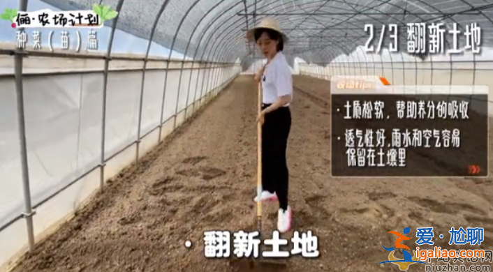 孫儷近況曝光!承包大棚翻土播種 網(wǎng)友留言紛紛點(diǎn)贊