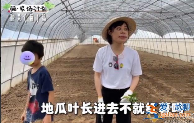 孫儷近況曝光!承包大棚翻土播種 網(wǎng)友留言紛紛點(diǎn)贊