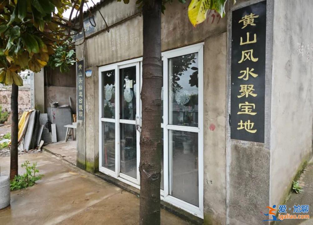村中集體土地被侵占建墓地售賣 村民多次反映未果？