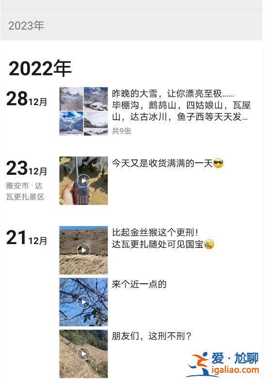 青海發(fā)現(xiàn)野生大熊貓？視頻拍攝地實為四川達(dá)瓦更扎景區(qū) 系村民拍到？