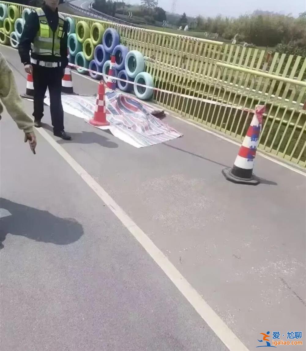 男子逆行釀事故？