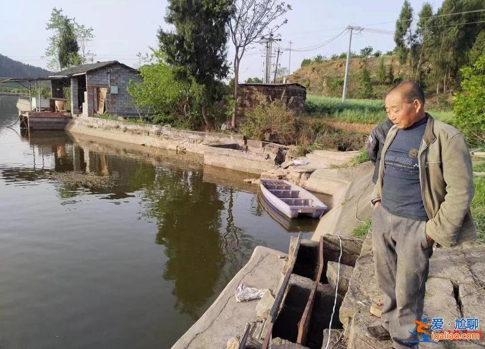 74歲老人驚險(xiǎn)逃生 村民稱上萬(wàn)斤魚(yú)被沖跑？