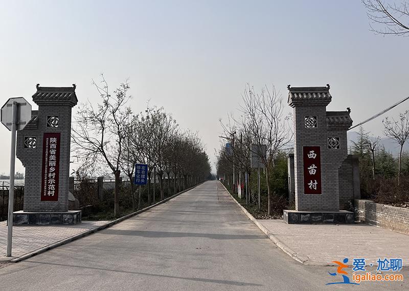 村路泥濘不堪卻花幾十萬(wàn)建門樓、上百萬(wàn)修圍欄？青海省農(nóng)業(yè)農(nóng)村廳回應(yīng)？