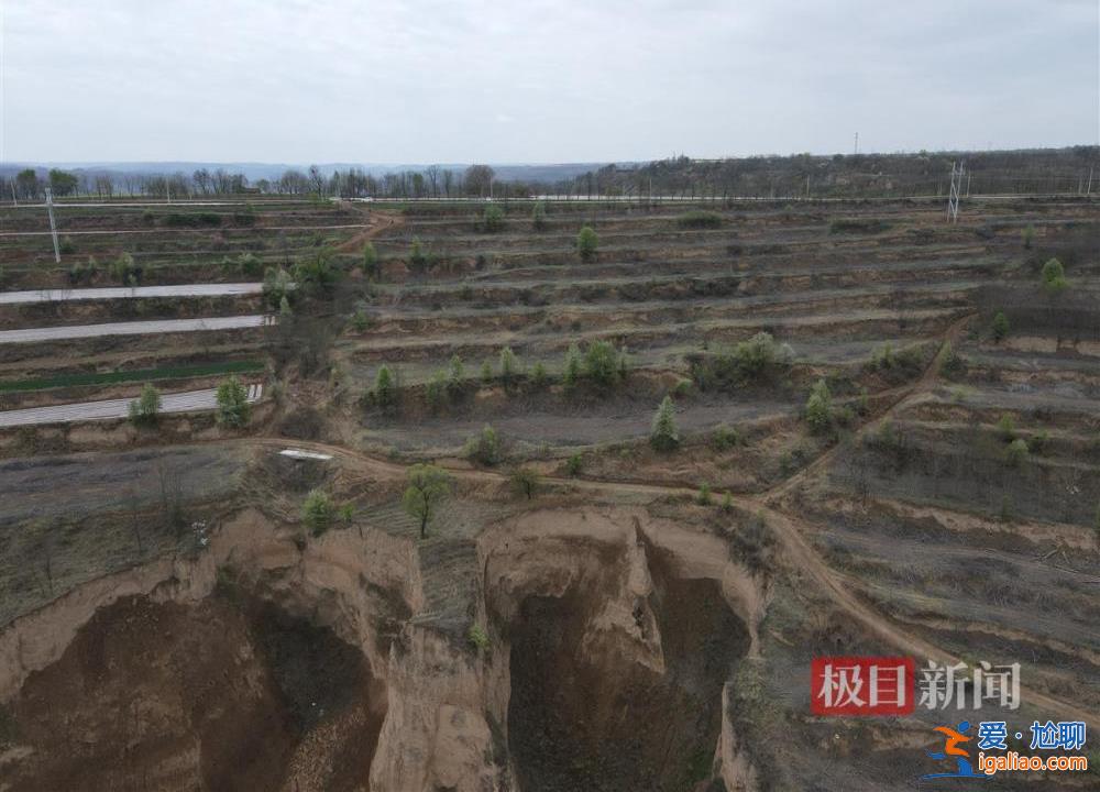 村民因合同糾紛10天砍樹(shù)1600余棵 當(dāng)?shù)爻闪⒄{(diào)查組？