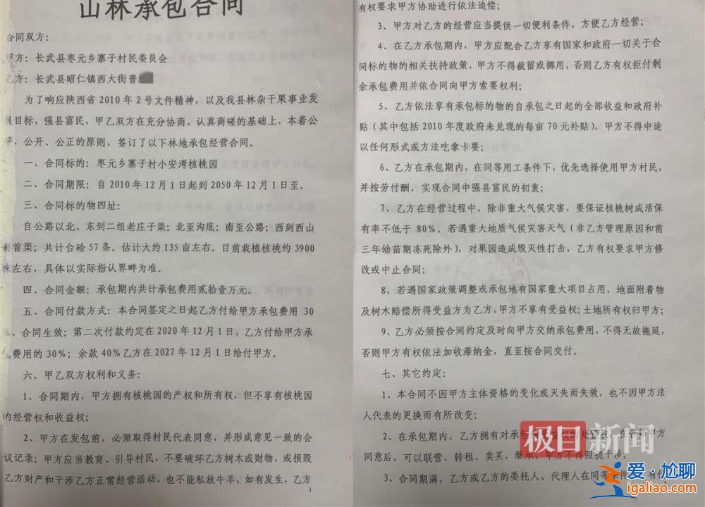 村民因合同糾紛10天砍樹(shù)1600余棵 當(dāng)?shù)爻闪⒄{(diào)查組？