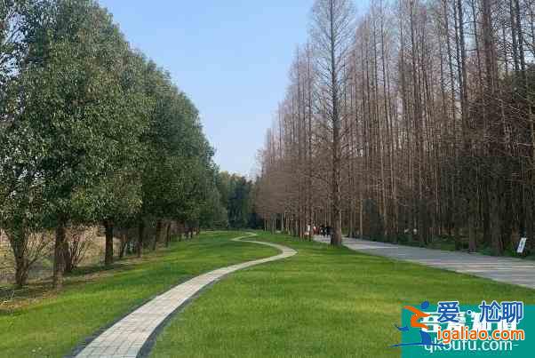 2022受疫情影響蘇州同里古鎮(zhèn)和同里國家濕地公園暫停開放？