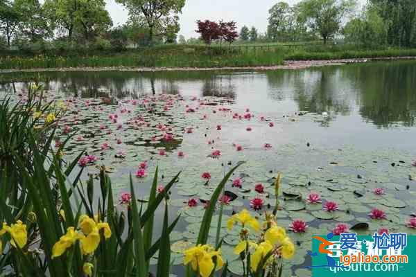 2022蘇州受疫情影響太湖國家濕地公園臨時閉園？
