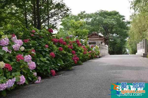 2022蘇州受疫情影響太湖國家濕地公園臨時閉園？