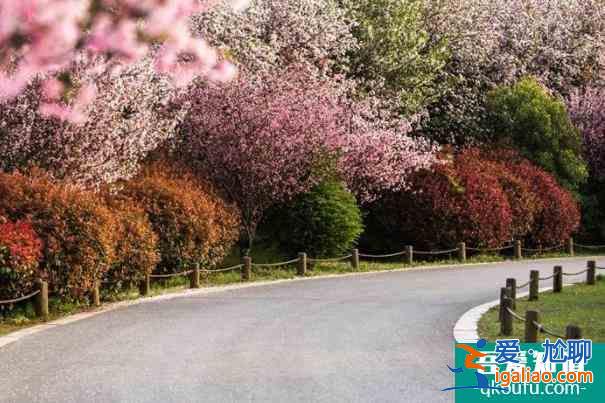 無(wú)錫健身步道匯總 適合跑步的公園？
