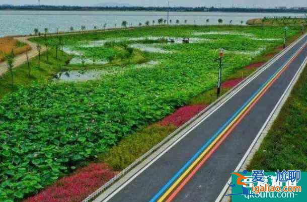 無(wú)錫健身步道匯總 適合跑步的公園？