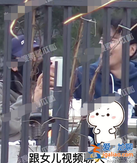 高圓圓趙又廷離婚了嗎?合體逛街大秀恩愛 大口吃糖葫蘆不顧形象