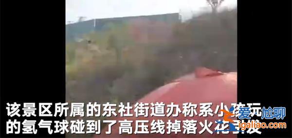 太原玉泉山景區(qū)一小孩玩氫氣球碰到高壓線后引發(fā)火災(zāi)[引發(fā)火災(zāi)]？