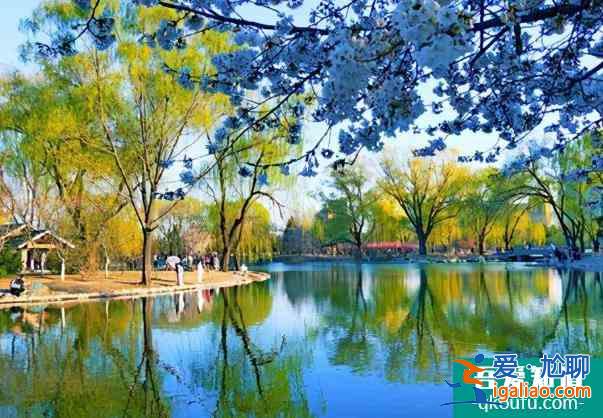 2022玉淵潭公園櫻花最佳觀賞時(shí)間 門票價(jià)格多少錢？