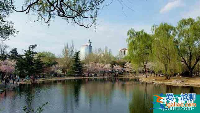 2022玉淵潭公園櫻花最佳觀賞時(shí)間 門票價(jià)格多少錢？