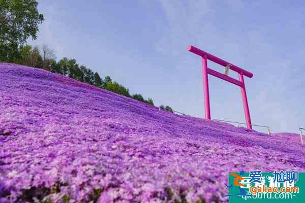 2022北海道櫻花季觀賞地點(diǎn)推薦 北海道有哪些旅游景點(diǎn)？