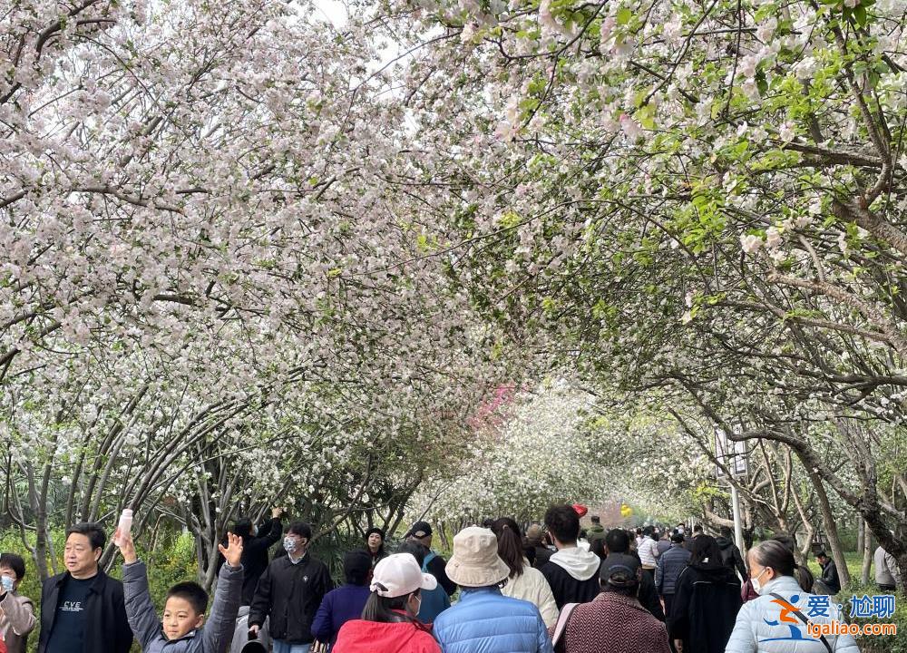 五一可否增加真實(shí)假日而不是調(diào)休？