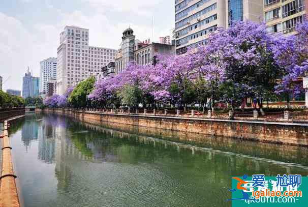 2022昆明受冰雪天氣影響部分景區(qū)暫時(shí)關(guān)閉？