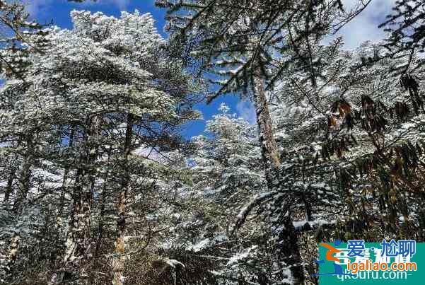 2022昆明受冰雪天氣影響部分景區(qū)暫時(shí)關(guān)閉？